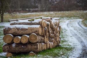 mucchio di tronchi di legno sul campo di erba verde durante il giorno foto