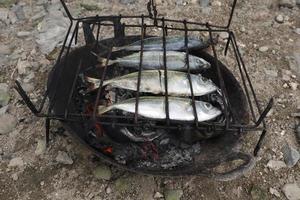 il processi di fabbricazione grigliato pesce quello è bruciato al di sopra di Noce di cocco conchiglia carboni foto