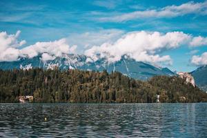 alberi verdi vicino al corpo d'acqua durante il giorno foto