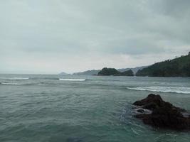 corallo nel il verde oceano foto