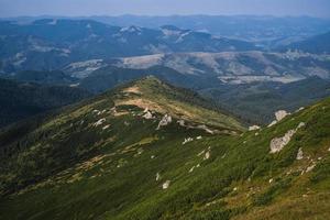 bellissimo paesaggio montagne Carpazi nel il Ucraina foto