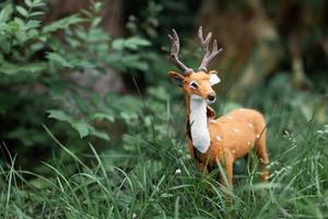 un' bellissimo poco figura di un' macchiato cervo nel il erba. foto