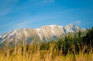 alto tatra montagna autunno soleggiato giorno, rilassante paesaggio, alp Visualizza. naturale Visualizza durante estate il trekking nel Highlands con picchi e roccioso colline Visualizza. nazionale parco nel Polonia. foto