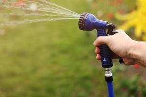 irrigazione verde giardino con all'aperto tubo flessibile. mano con tubo flessibile spruzzatina irrigazione impianti nel il giardino. irrigazione prato o impianti su Giardino dietro la casa. giardiniere uomo con spruzzatore nel giardino foto