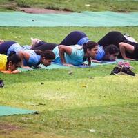 nuova delhi, india, 18 giugno 2022 - lezione di yoga di gruppo surya namaskar per persone di età diverse nel giardino di lodhi, giornata internazionale di yoga, grande gruppo di adulti che frequentano una lezione di yoga nel parco foto