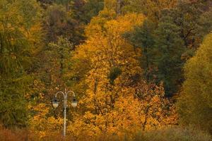 bellissimo autunno paesaggio con strada lanterna foto