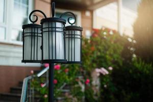 il strada lampada nel il parco su il sfondo di fiori foto