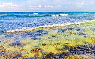 tropicale caraibico spiaggia chiaro turchese acqua playa del Carmen Messico. foto