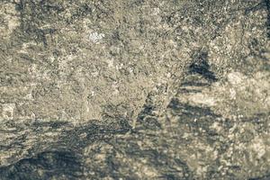 struttura della roccia di pietra con muschio verde e licheni in Brasile. foto