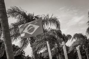 bandiera brasiliana con palme e sfondo azzurro del cielo brasile. foto