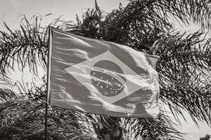 bandiera brasiliana con palme e sfondo azzurro del cielo brasile. foto