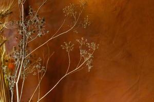 calore Immagine con un' asciutto fiori mazzo al di sopra di un arancia parete foto