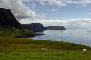 oceano costa a neist punto faro con pecora, Scozia foto