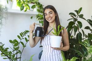 gioioso giovane donna gode sua tempo a casa e irrigazione sua pianta di il finestra a casa. donna prende cura di sua felce acqua su il albero su un' rilassante giorno nel il giardino a casa. foto