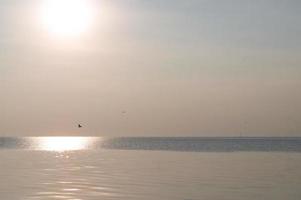 meravigliosa sole ambientazione nel mare acqua superficie nel il sera con f foto