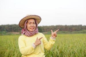 contento asiatico donna contadino indossa cappello, giallo camicia, tailandese perizoma coperto sua testa, punti a risaia campo per aggiungendo testo o annuncio. concetto, agricoltura occupazione, contadino crescere biologico Riso. foto