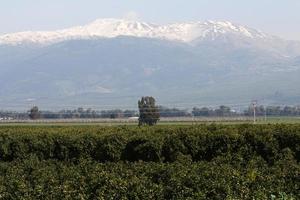 neve bugie su il superiore di montare hermon foto