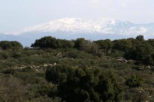 neve bugie su il superiore di montare hermon foto