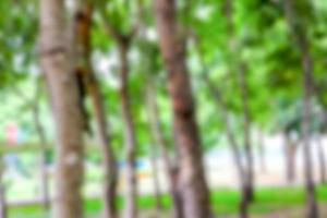 sfocato verde parco con sfocato leggero naturale sfondo foto