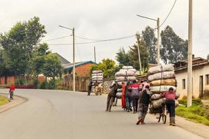 ruandese agricoltori uomini consegna colture a partire dal il i campi su il Bici caricato con sacchi, centrale Ruanda foto