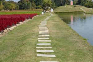 passerella nel il parco su verde erba foto