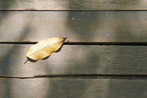 asciutto le foglie su il di legno pavimento foto