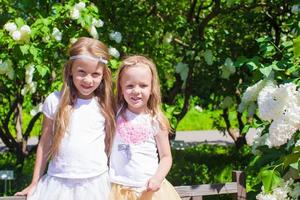 poco adorabile ragazze godendo bellissimo giorno nel fioritura giardino foto