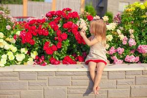 poco adorabile ragazza seduta vicino colorato fiori nel il giardino foto