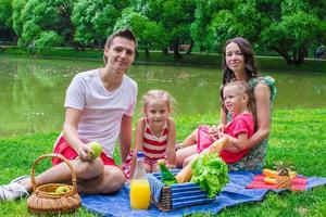 contento famiglia di quattro picnic nel il parco su estate giorno foto