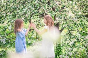 adorabile poco ragazze nel fioritura Mela albero giardino su primavera giorno foto