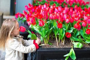 poco adorabile ragazza vicino rosso fiori nel nuovo York strade foto