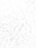 defocus sfocato trasparente bianca colorato chiaro calma acqua superficie struttura con spruzzi e bolle. di moda astratto natura sfondo. acqua onde nel luce del sole con copia spazio. bianca acqua brillare foto