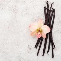 bastoncini di vaniglia essiccati e fiori di orchidea allestiti su sfondo bianco di cemento. foto