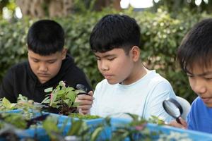 gruppo di giovane asiatico ragazzo detiene ingrandimento bicchiere e in vaso impianti e guardare attraverso il lente per studia pianta specie e fare progetto opera, all'aperto aula apprendimento concetto, morbido e selettivo messa a fuoco. foto