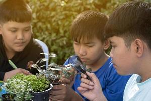 gruppo di giovane asiatico ragazzo detiene ingrandimento bicchiere e in vaso impianti e guardare attraverso il lente per studia pianta specie e fare progetto opera, all'aperto aula apprendimento concetto, morbido e selettivo messa a fuoco. foto