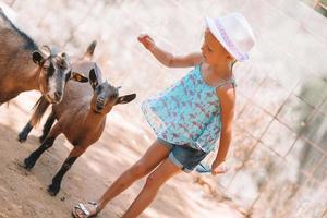 poco ragazza nel il zoo con un' piccolo carino capra foto