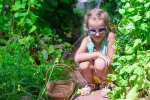 bambina che raccoglie i cetrioli e i pomodori del raccolto in serra foto