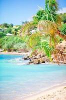 idilliaco tropicale spiaggia con bianca sabbia, turchese oceano acqua e blu cielo foto