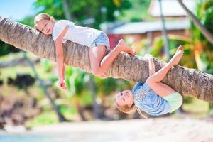 adorabile poco ragazze a tropicale spiaggia avendo divertimento su palma albero durante estate vacanza. bambini godere loro vacanza piace scimmie foto