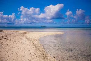 ideale tropicale spiaggia con turchese acqua e bianca sabbia su un' deserto isola foto