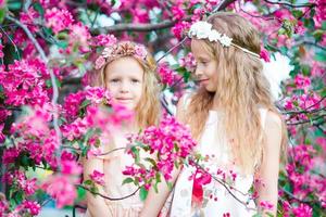 adorabile poco ragazze nel fioritura Mela albero giardino su primavera giorno foto