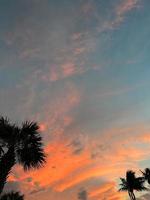 bellissimo Noce di cocco palma albero con sorprendente vivido cielo a tramonto foto