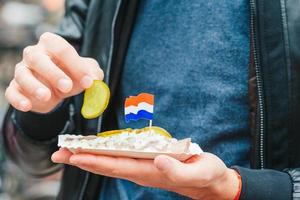 gustoso fresco aringa con cipolla e Olanda bandiera su il acqua canale sfondo nel amsterdam. tradizionale olandese cibo foto