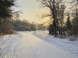 inverno tramonto nel neve coperto parco. stagione e freddo tempo metereologico concetto foto