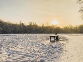 inverno tramonto nel neve coperto parco. stagione e freddo tempo metereologico concetto foto