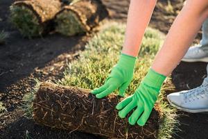 vicino su donna posa zolla erbosa per nuovo giardino prato - torba posa concetto foto