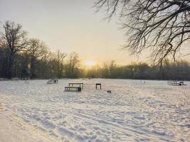 inverno tramonto nel neve coperto parco. stagione e freddo tempo metereologico concetto foto