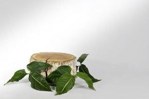 podio di tronco di legno e foglie verdi foto