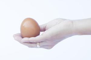 mano che tiene un uovo marrone