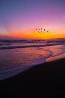 uccelli che volano sopra la spiaggia al tramonto foto